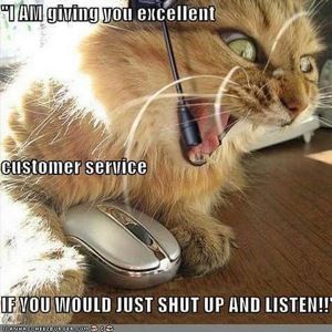 Meet your Posher, Suzy